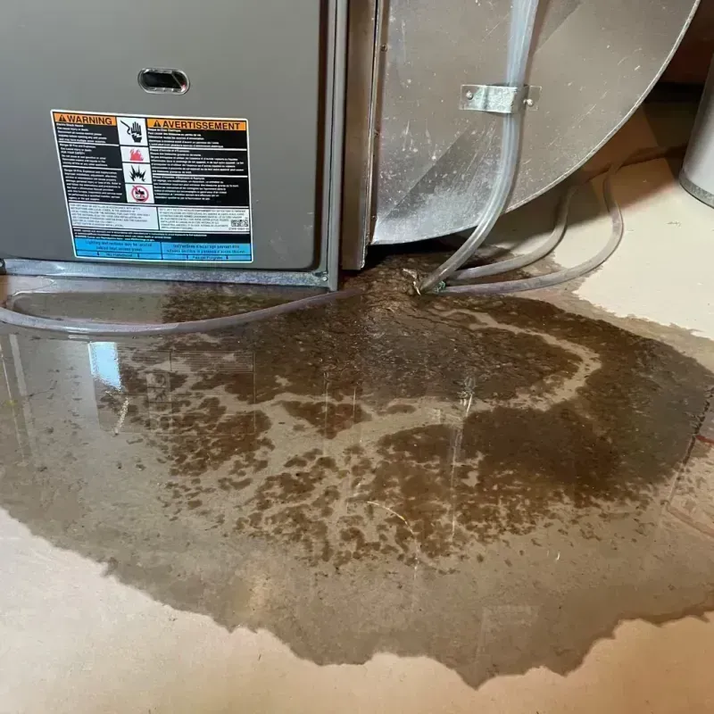 Appliance Leak Cleanup in Yakima, WA